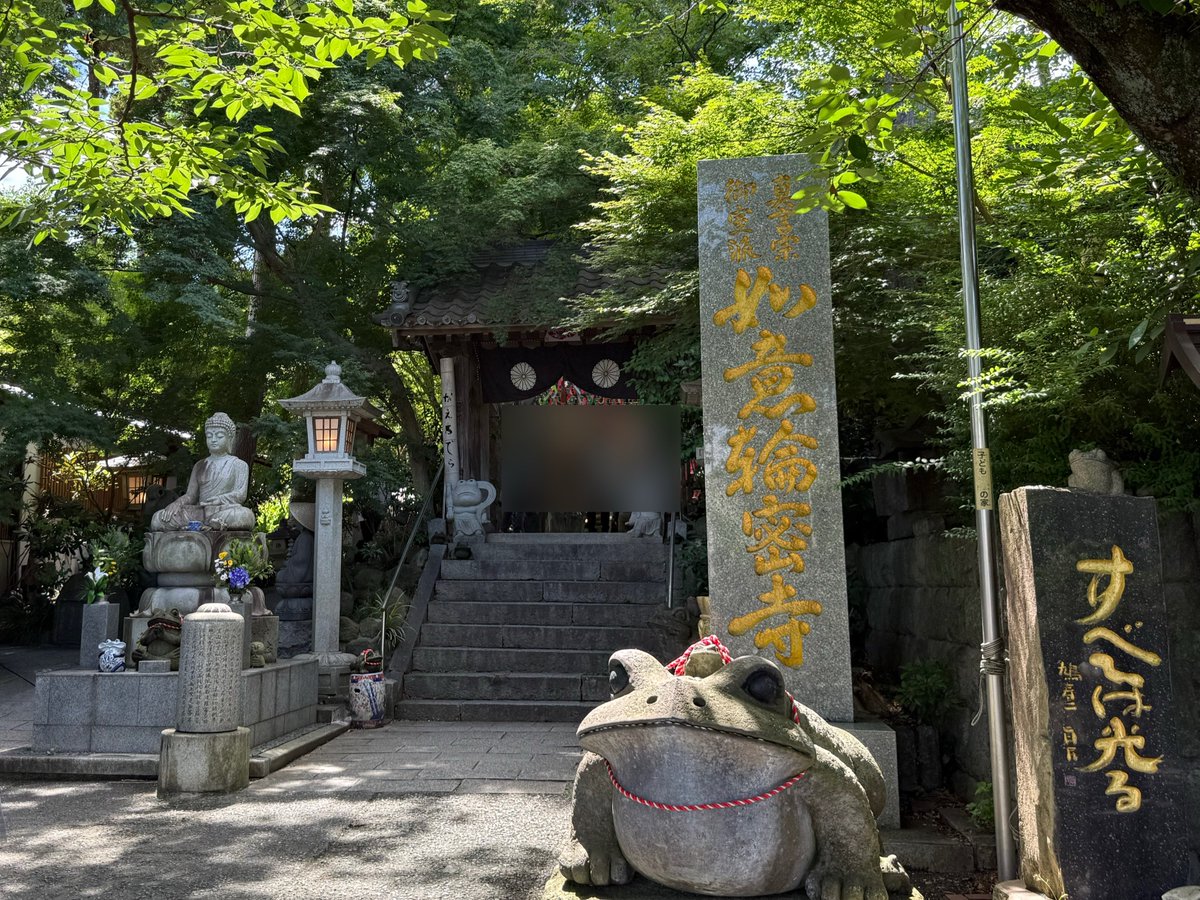 eki_sakana's tweet photo. 如意輪寺（かえる寺）@三国が丘/三沢🐸

729年に行基によって創建された真言宗のお寺。
境内の至る所にカエルが飾られてます。さらに今は風鈴まつりが開催されていたりとフォトジェニックなお寺でした。
参拝者も多く、ちょっとした観光地になってました。 https://t.co/2m6ra1CNra