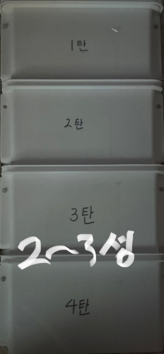 Mi_zik's tweet photo. #프리티장터 아이프리 2 3성 거의 다 보유중입니다!! 일괄 1.0에 넘갸요ㅠㅠ https://t.co/npBBwg01Rh