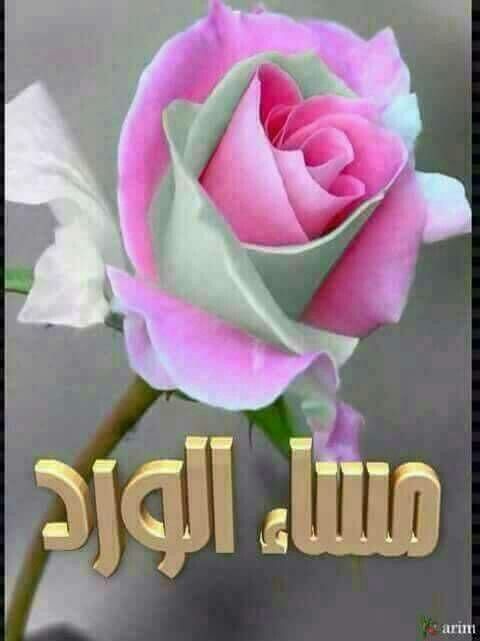 alsaher_5's tweet photo. @hesah798 لاذوق يعلـــو على ذوقـــك واختيـــارك 🌹👑 https://t.co/hby7sS83rj