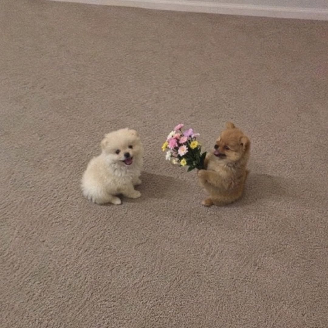 lemiusch's tweet photo. there’s absolutely no difference whatsoever 😭😭😭😭😭😭😭

#LenaMiu #ลีน่าหมิว https://t.co/hW6k8VkE4n