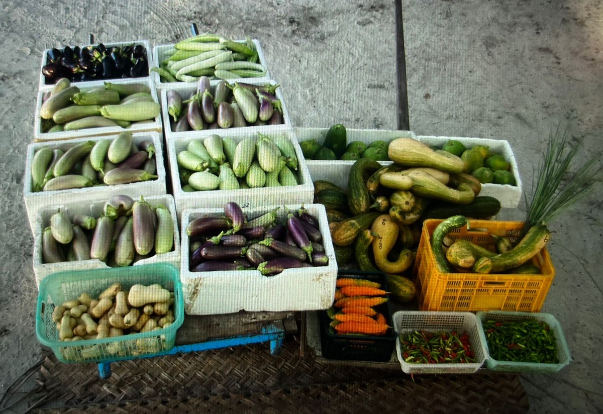 shadazubair's tweet photo. On #WorldFoodSafetyDay 
“From burden to solutions-safe food everywhere”, let us remind ourselves that from farm to table, every stage of the food system matters. 

In the Maldives, we can strengthen our national resilience by supporting local farmers produce food without chemical pesticides. 

Safe and nutritious food protects public health, prevents disease, supports our farmers, and advances sustainable development. 

A healthier, more resilient Maldives begins with a safe and sustainable food system. 

All photos from my organically produced food farm on B.Maarikilu

🌱🇲🇻 #WorldFoodDay #FoodSecurity #FoodSafety #Maldives
@presidencymv @MMuizzu @MadamSajidha @MFAORmv @Shiyamaldives @MoEDmv 
👇🏽