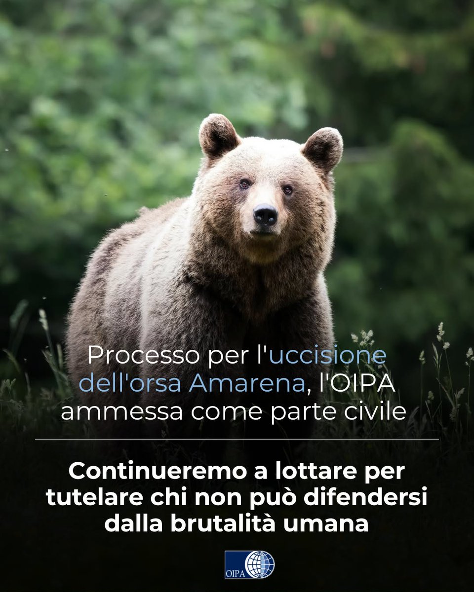 NikolajVsevolo1's tweet photo. https://t.co/QP67zCiTLF