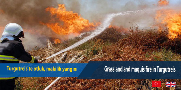 48habercomtr's tweet photo. Turgutreis'te otluk, makilik yangını

Turgutreis'te pazar yeri üst bölgesindeki otluk ve makilik alanda yangın başladı. Yangına havadan, karadan müdahale edildi.

https://t.co/FcaC0OBnOw https://t.co/zRDk8o6qkY