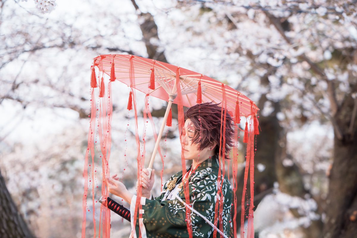 asuka_kmt's tweet photo. 【cos/kmt】
《🎴》
ーーーーーーーーーーーーーーーーーーー

                 ➖ 春はあけぼの ➖

ーーーーーーーーーーーーーーーーーーー
photo:@sl70x99 https://t.co/qJ2bstWxdY