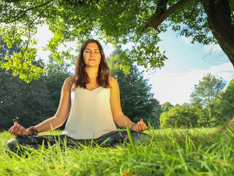 Meditationen's tweet photo. Meditation und Natur ergänzen sich wunderbar. Am 21.06 ist International Day of Yoga. #Weltyogatag #IDY #YogaVidya https://t.co/NtDwfdfiiu