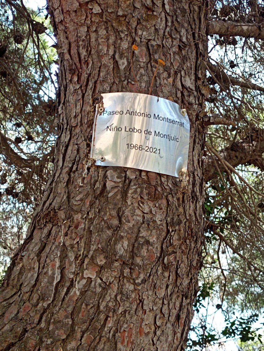 germangbernet's tweet photo. Montjuïc siempre fue chabolista. Pese a los intentos de desurbanizar la montaña es zona de asentamientos perecederos pero constantes, q muestran la precariedad d acceso a vivienda. Junto a ellos también es importante recordar a chabolistas insignes q solo sabían vivir en el monte https://t.co/E54HNciOeE