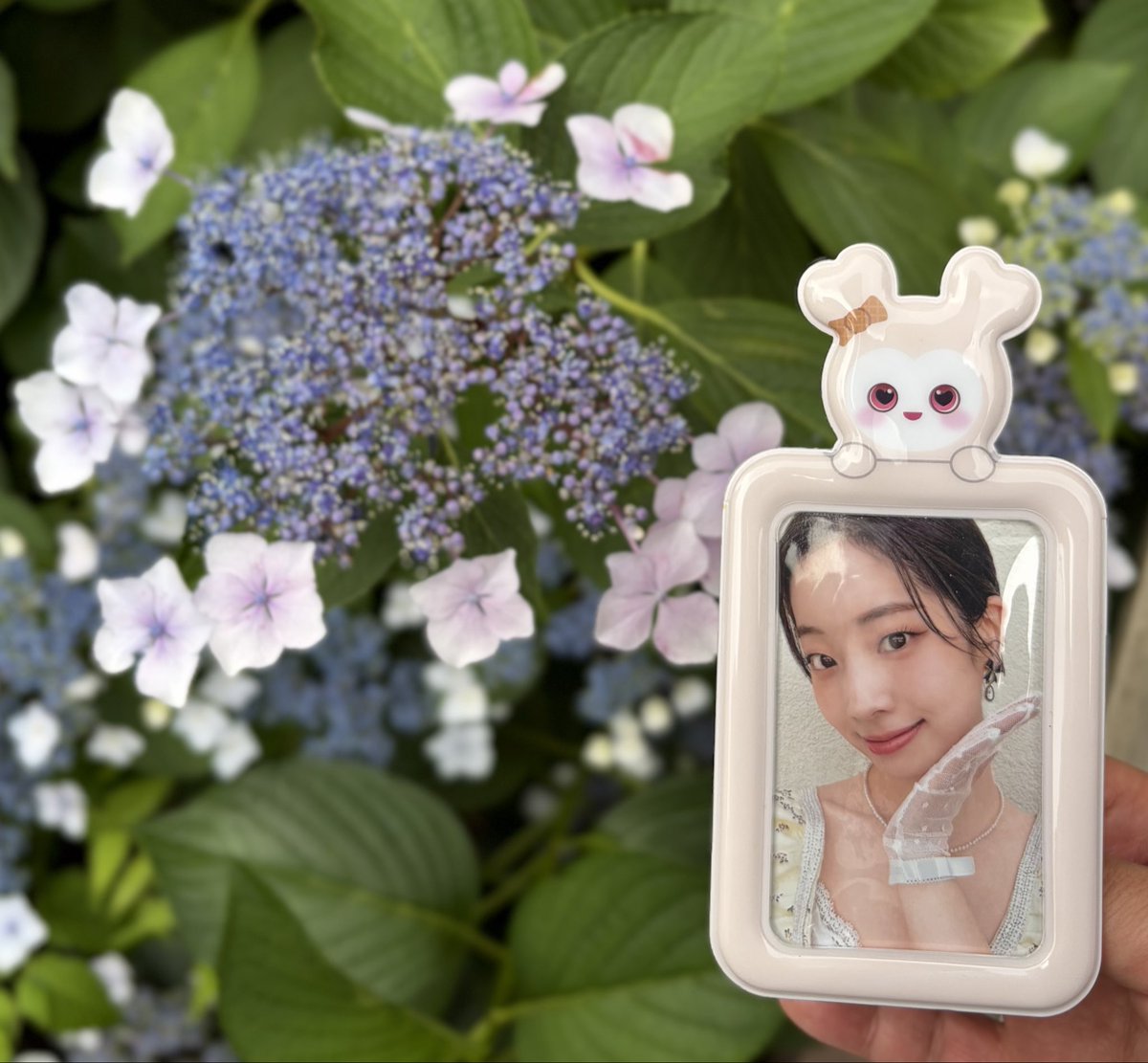 simopinpin's tweet photo. 紫陽花が満開でした🤍🤍🤍 https://t.co/NvdJHVny5n