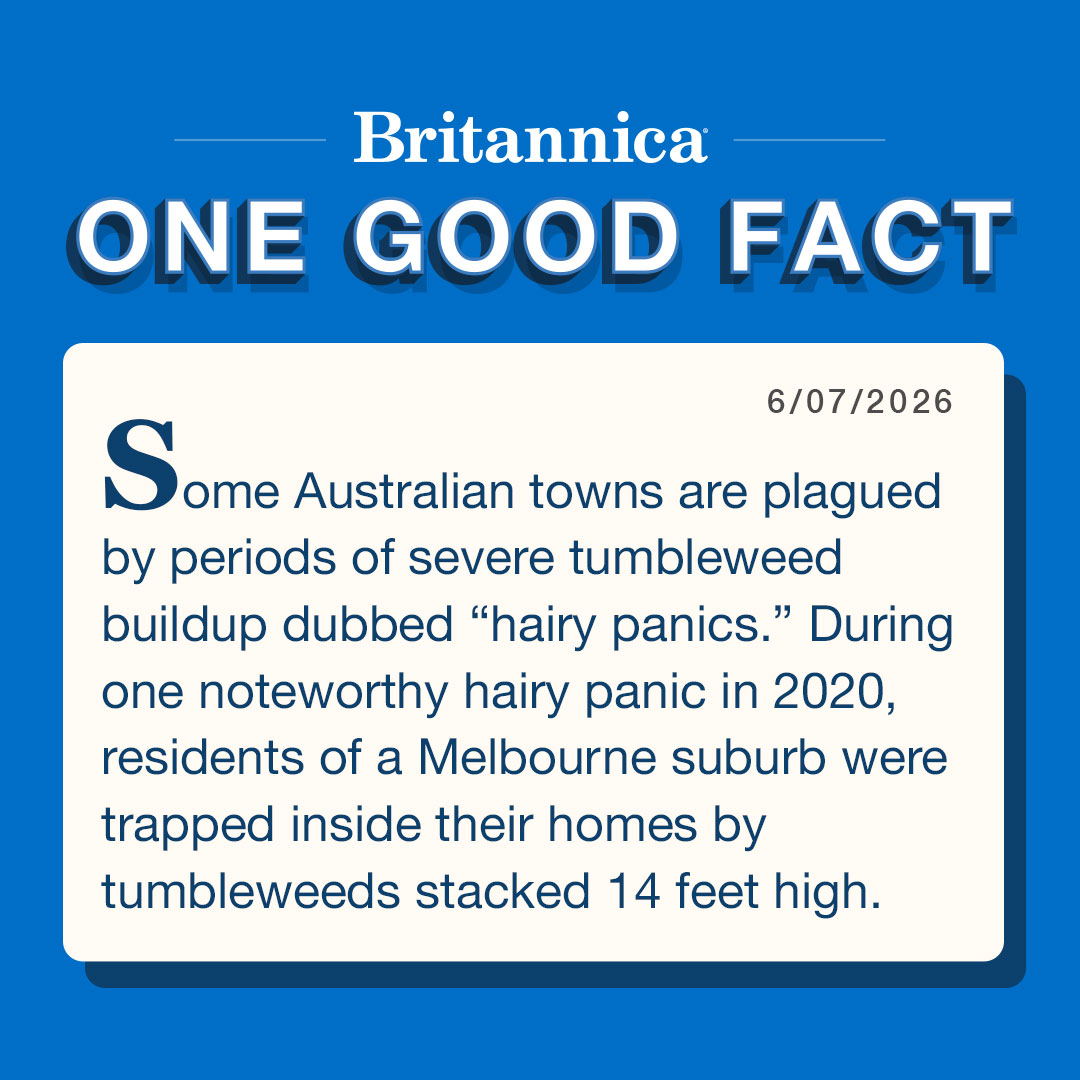 Britannica tweet picture