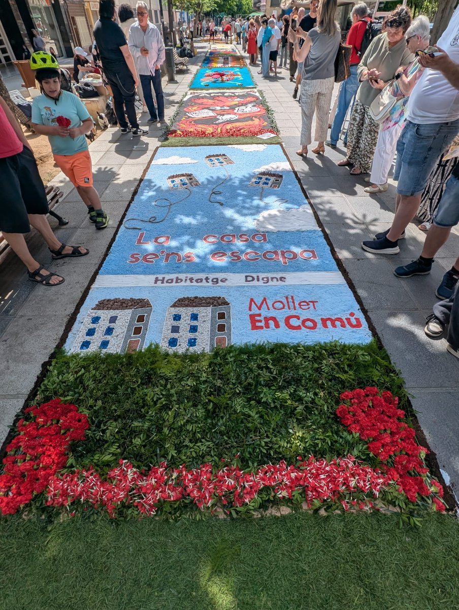 molletencomu's tweet photo. La Casa se'ns escapa... 🏘️

Avui Catifa de Flors de Mollet En Comú. 🌸🌺🌷

#Mollet @CasalCultural https://t.co/XqOBr0sOvz