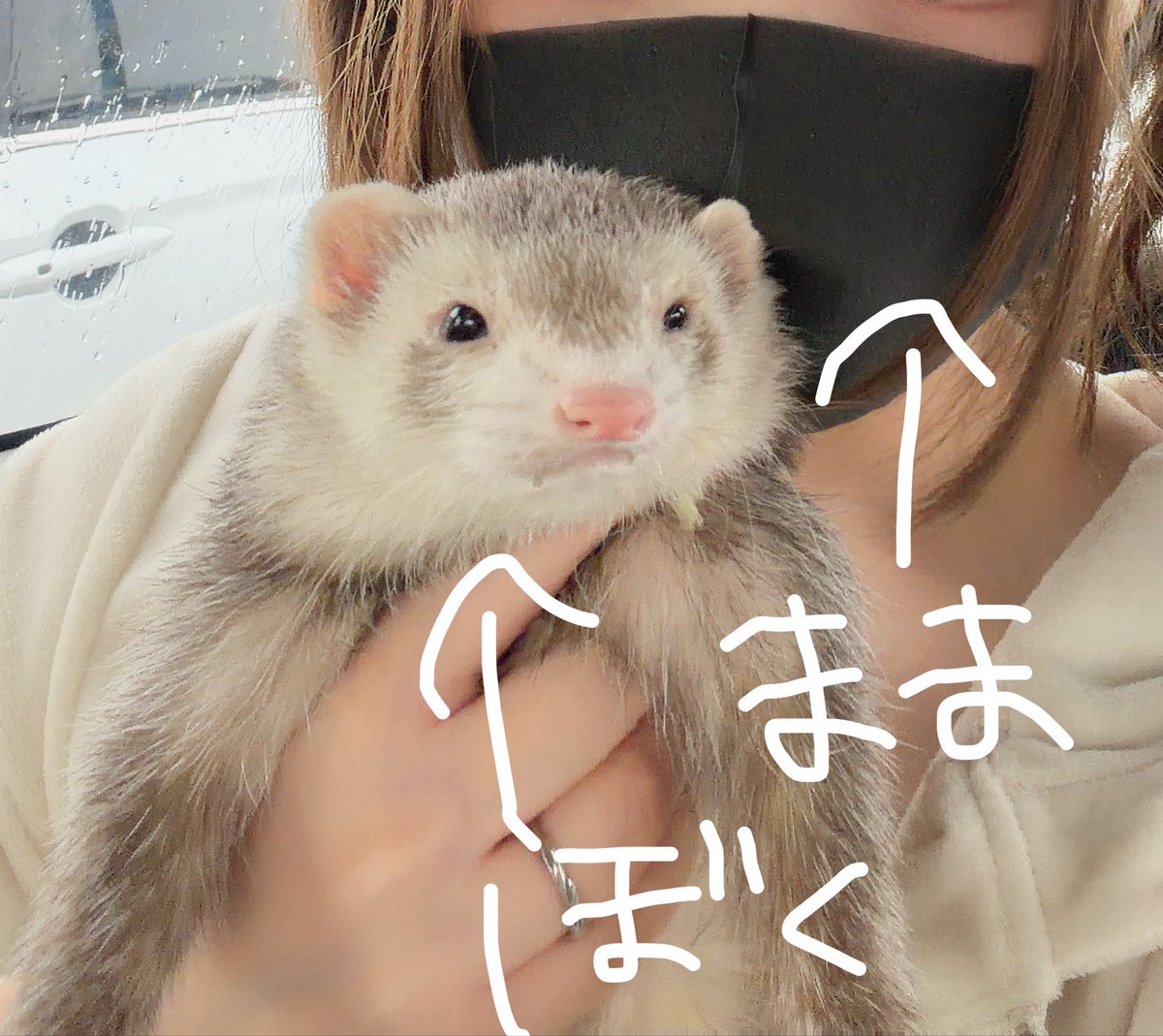 ilvpk's tweet photo. @Gpgkg005 遅くなったよーーーー！急遽2週間くらい静岡行くことになって今日静岡きたよー🗻！
抱っこして寝てくれるの羨ましいってままが言ってる🤭ぼくはすぐ逃げるからね😏 https://t.co/l5PxKsWsOM