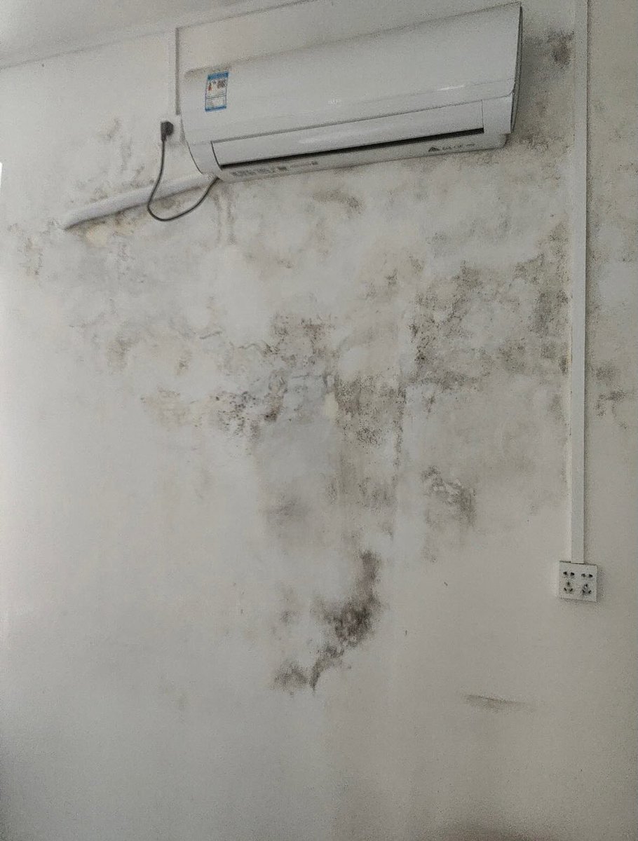 zeaidennn's tweet photo. MAKASIH YA NETIJENN😭
Gara-gara ngikutin lifehack kalian, jadi bisa ngilangin blackmold di dinding ini tanpa harus cat ulang

Cuma pake bahan yang ada di rumah, bener-bener minggat, balik kinclong lagi😭￼ https://t.co/gMczM1NPV3