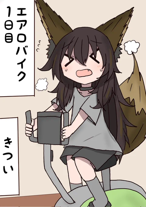 もうやらないかもしれない! 
