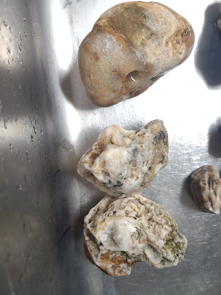 SUIBOUZ's tweet photo. 晶洞の有る石とちょっと水晶の付いてる石２つ

これはハマりそうだわ、いつか糸魚川も行ってみたいね https://t.co/5RTXeUJRYd