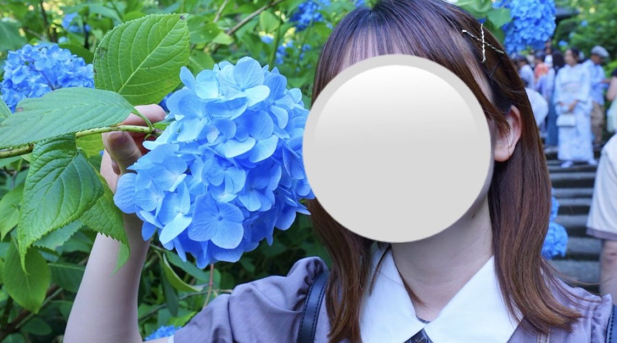 chiikawa91's tweet photo. こんな綺麗な紫陽花初めてかも

📍明月院

 #日常垢  #日常垢さんと繋がりたい  #明月院   #神奈川 #鎌倉  #紫陽花 https://t.co/01rtIqoRrw