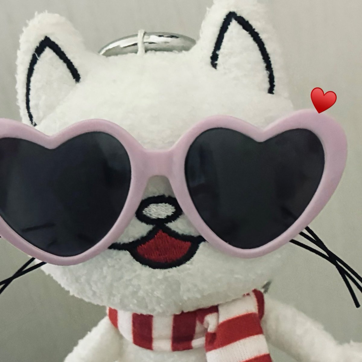 bunnpoc's tweet photo. ニコルちゃん( ⚯̫ )😻☆ https://t.co/JfV3kGGgJp