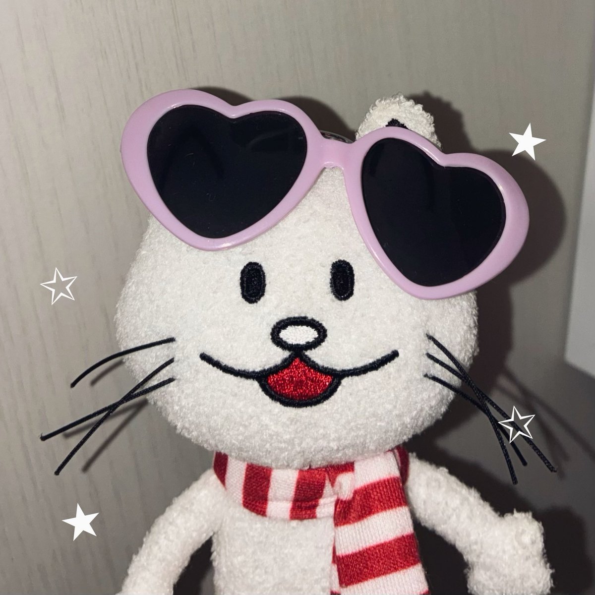 bunnpoc's tweet photo. ニコルちゃん( ⚯̫ )😻☆ https://t.co/JfV3kGGgJp