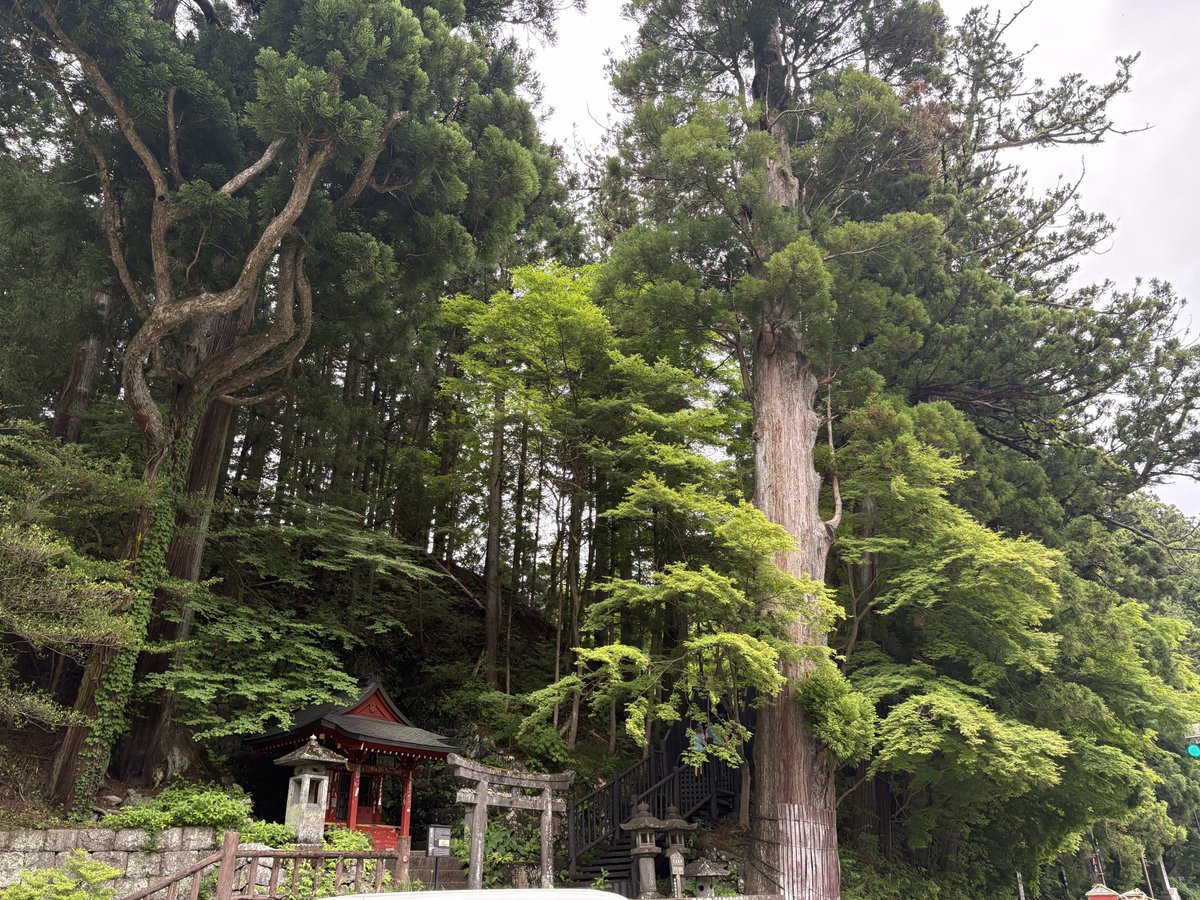 jopsia's tweet photo. 栃木県日光市の大谷川（だいやがわ）に架かる神橋（みはし）は、朱塗りの橋である。乳の木（ちのき）と呼ばれる橋桁（欅）を、両側の岩盤に４メートルほど埋め込み、片持ち梁として突き出し、中央部分を橋桁で繋ぎ、鳥居型の石造橋脚で支持する伝統工法である。現代の視点から見ても、施工性と構造の合理性を兼ね備えた優れた工法だと思える。

中禅寺湖を水源とする綺麗な水が流いる大谷川と神橋が本当に美しく感動させられる。