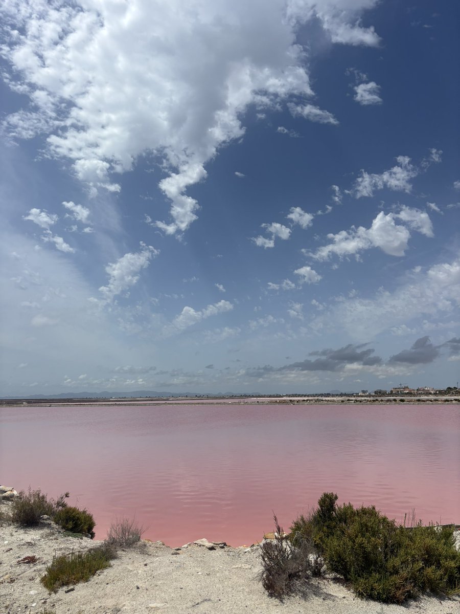 Culation's tweet photo. Mi vida en rosa. 🩷 https://t.co/EnVSnBHmAI