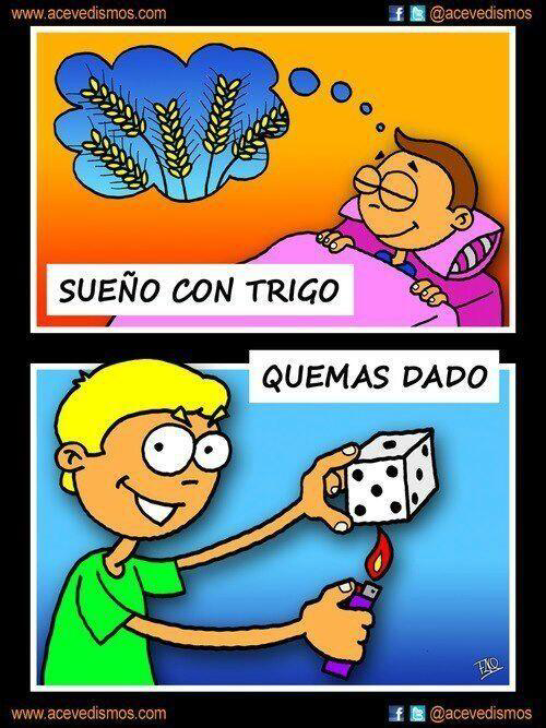 Tubaraoyskual's tweet photo. Imagen de @Acevedismos 
- Cuéntame cosas sobre ti.
- Ahora mismo estoy leyendo "La Dama de las camelias"
- A mí de Camelia me gusta mucho... https://t.co/b5n3V5cqaI