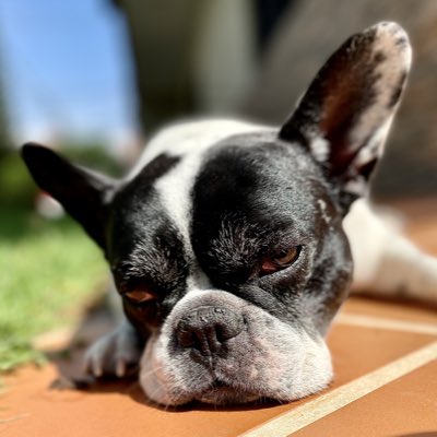 AnndroR's tweet photo. #NewProfilePic https://t.co/tqy8RNOMAE