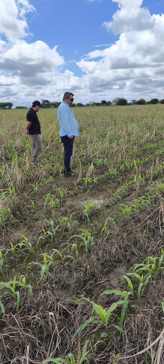 poloenred's tweet photo. Hemos visto, como en cada sistema productivo que se comparte información, las mejoras son constantes.
Desde el POLO AGROPECUARIO tenemos la firme convicción de que el sector agropecuario lo construimos con información,  conocimiento e innovación. Juntos.
@aapresid https://t.co/ywVVrhxhNH