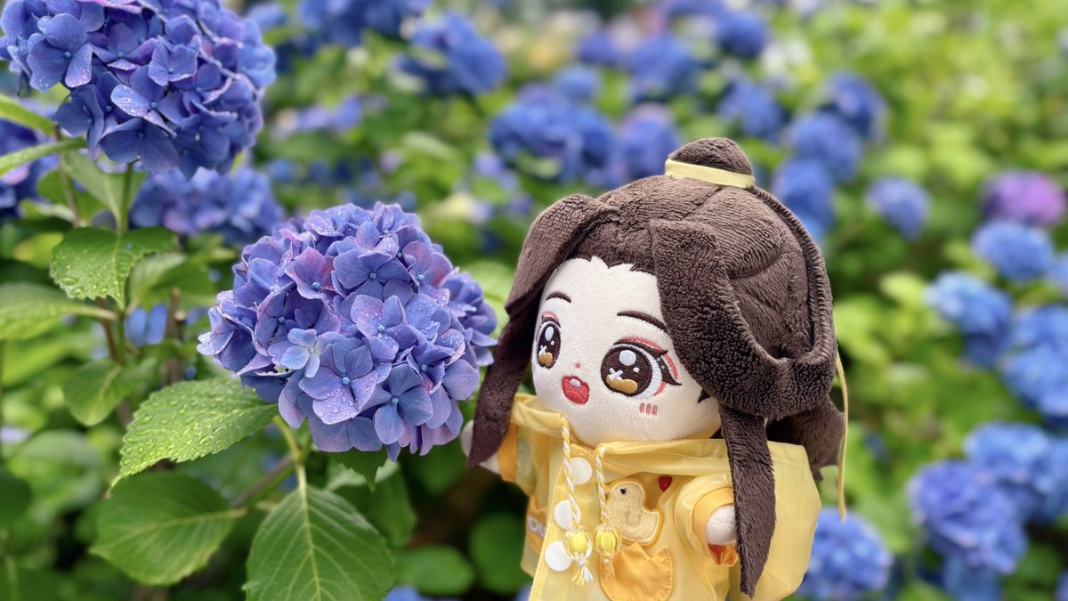 machamarugo's tweet photo. 💙🌿 https://t.co/LMyIOIbYes