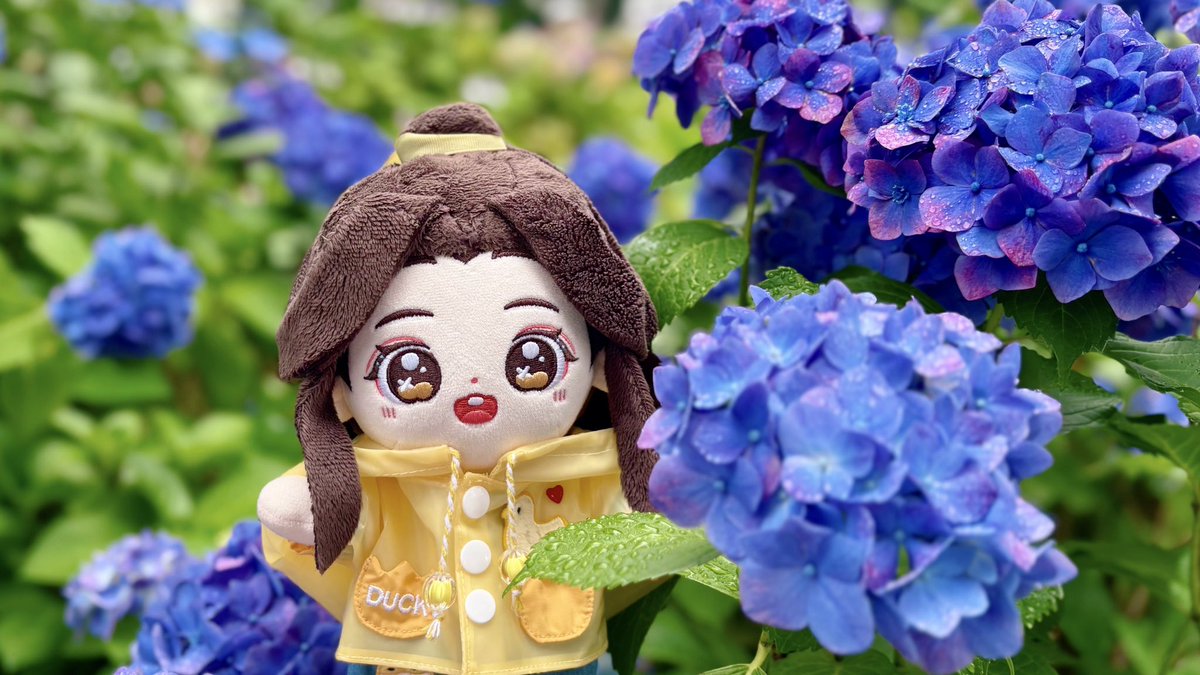 machamarugo's tweet photo. 💙🌿 https://t.co/LMyIOIbYes