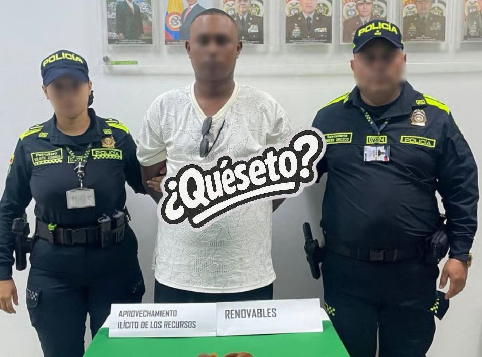 remolacha's tweet photo. Tipo intentó viajar a República Dominicana con dos ardillas ocultas en sus genitales; una murió tras el rescate https://t.co/5dx2kEBl42 

#remolachanet https://t.co/5OUUncrCwM