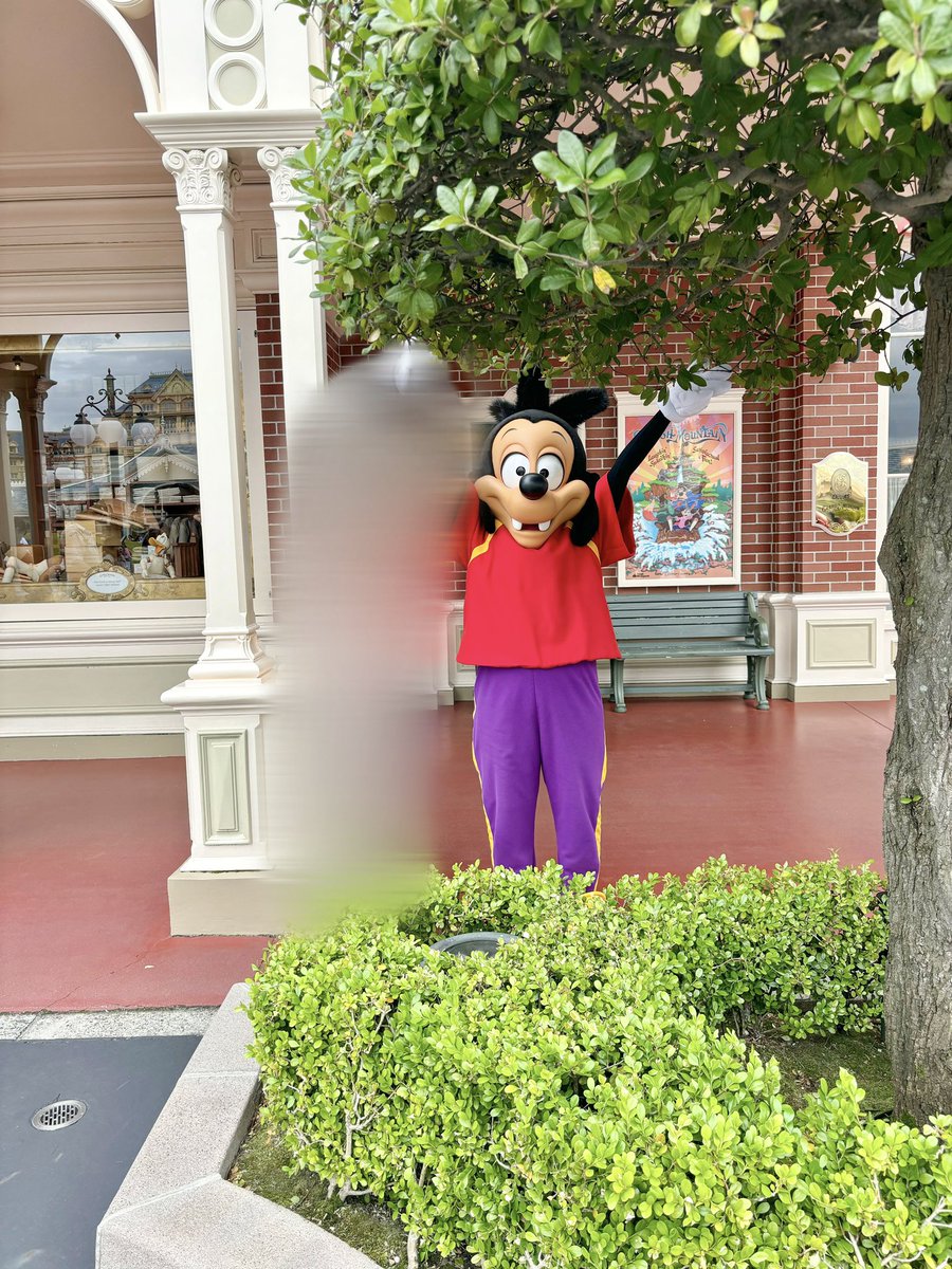 max_Disneyy's tweet photo. マックスとかくれんぼ🌳

会話の中で｢かくれんぼ得意｣って教えてくれた💬
後ろ向いて〜って言われてゲーム開始

周りにｼｰ🤫ってやってたけど、丸見えで可愛い…
最後は隠れ方を伝授してくれました➰ https://t.co/Q6ekJOTvXn