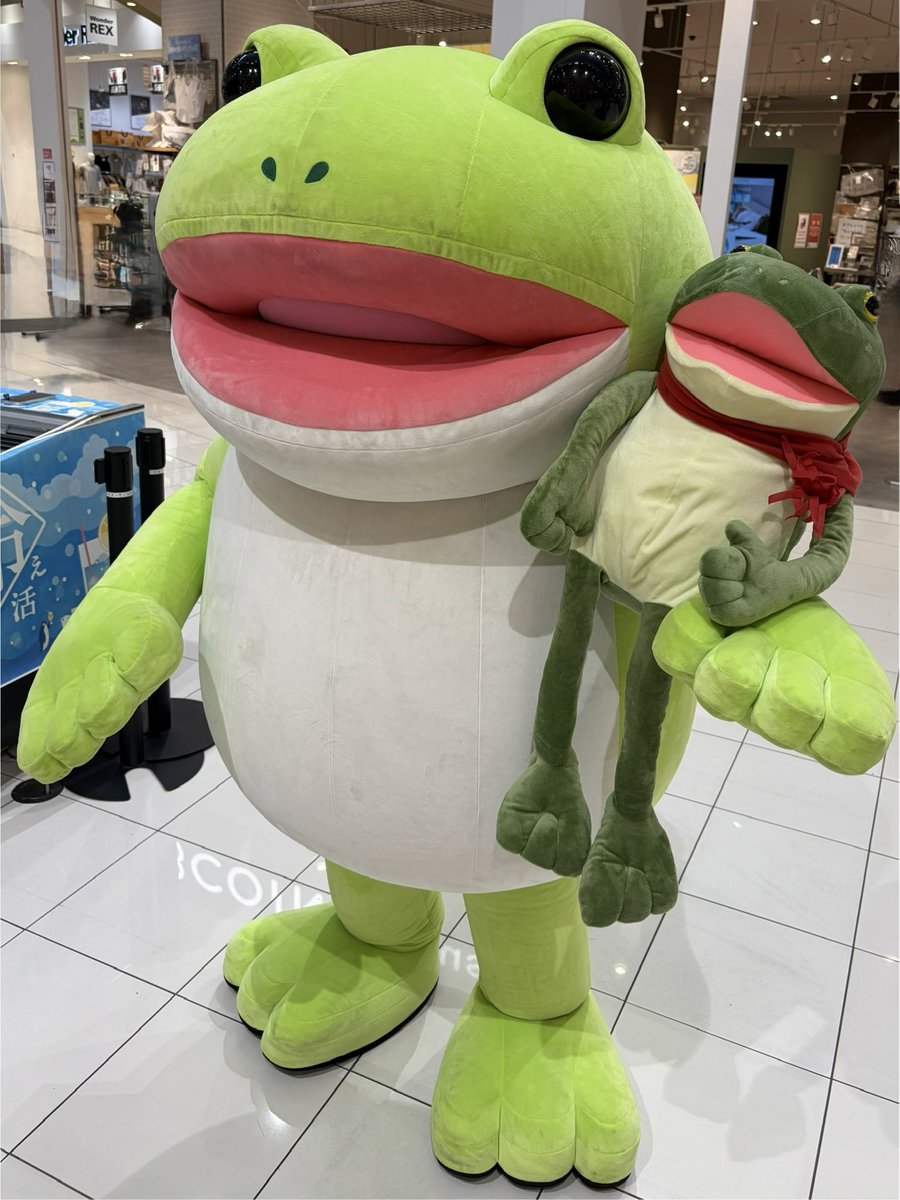 mikamiharu_reia's tweet photo. #おとぼけケロピョン　に、また会いに行ってきました！🐸
いっぱい手を振り合いました👋✨
かわいかったぁ🥰

くさもち🐸を抱えてもらえたのも嬉しかった💖 https://t.co/T1qscLwXy1