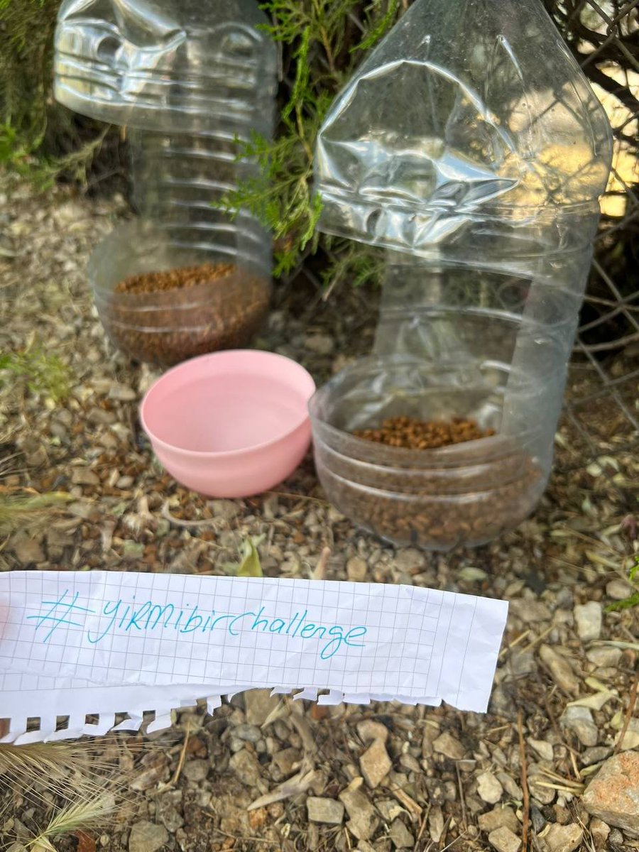 44Fenerrr's tweet photo. #yirmibirchallenge day 2 !

Suyumuzu koyarken mamalarımızı da unutmayalım..

@yirmibirtr https://t.co/UKMdmzjYCw