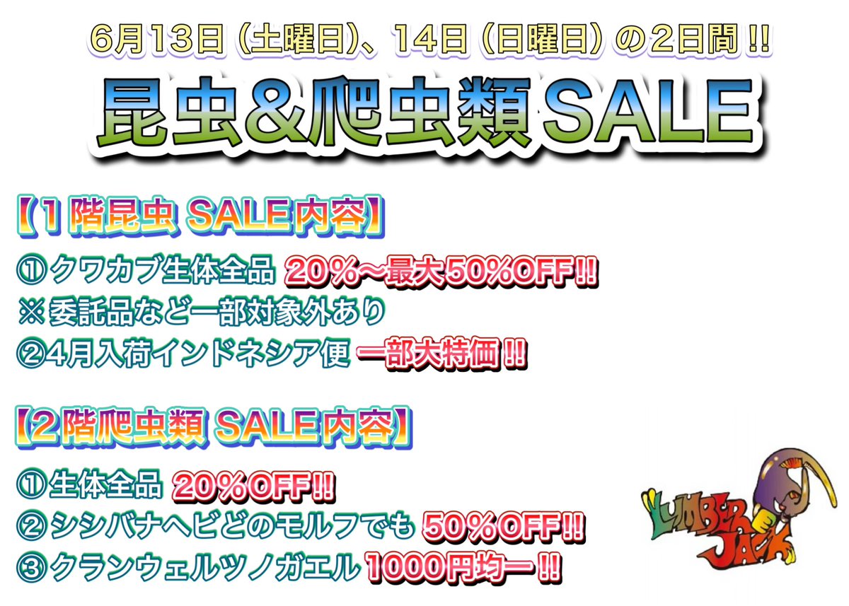 本日もたくさんのご来店ありがとうございました✨ 6月13日14日のSALE