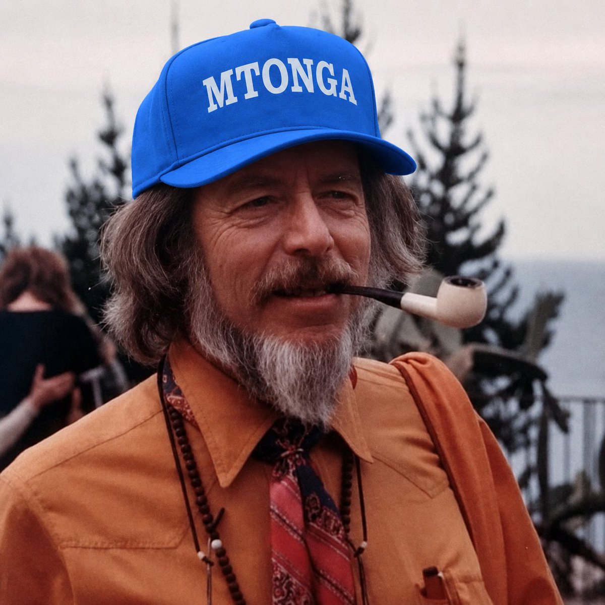 mtongaton's tweet photo. When life gives you a hat, take it. https://t.co/0r23xWRQsW