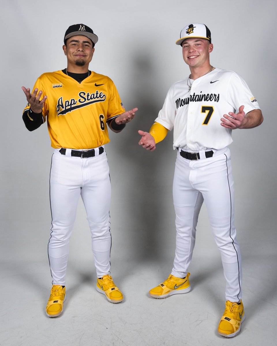 AppBaseball tweet picture