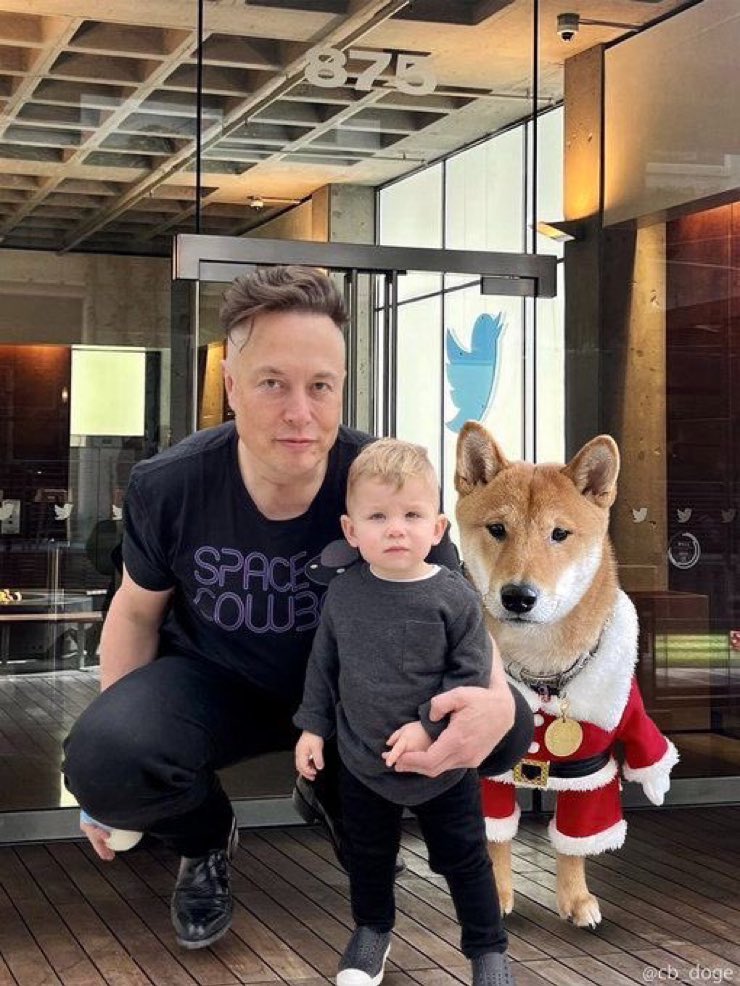supatinogh's tweet photo. One photo. Three internet favorites. 🚀🐶❤️

Elon Musk, Little X, and Doge standing together — a combination that can instantly make people smile.

But if you had to choose just one, who is the star of this picture? 👀

A) Elon Musk 🚀
B) Little X ❤️
C) Doge 🐕 https://t.co/UWc4uDDeOy