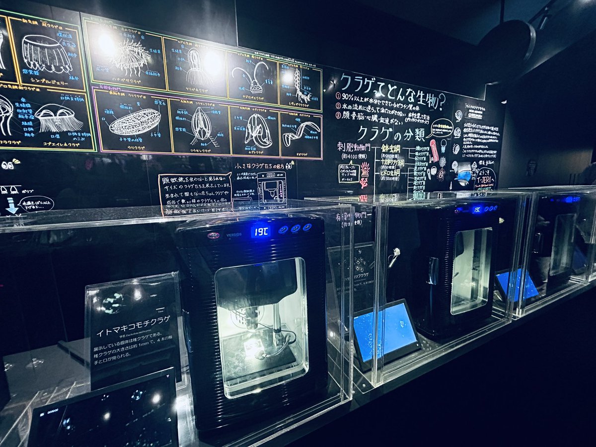 kinako080613's tweet photo. リニューアル後初の加茂水族館へ😊

手書きの解説や展示の仕方が凄くて、クラゲへの情熱をめちゃくちゃ感じとれました🙌 https://t.co/RR5vtuo2dv