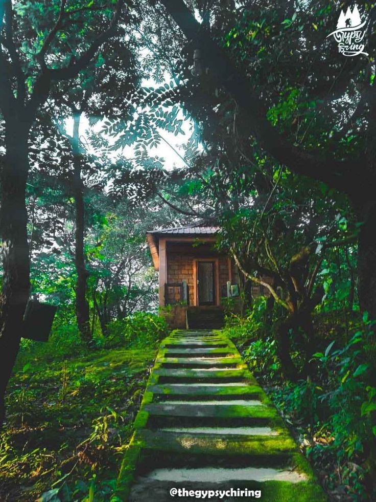 Aryavarta_story's tweet photo. Mawlynnong, Meghalaya https://t.co/y9lsp0b4BG