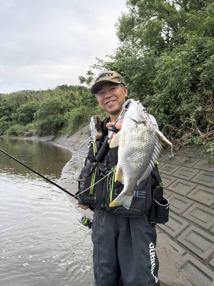 chobi178's tweet photo. 大野川の看板のと違う魚しか釣りきりませんでした…なんだか今日イケそうな気がする〜と息巻いてエントリーしましたが、4ポイント目で何とか相棒に1本来たのみで終了しました。次こそ！
#ラフィン250
#ism 
#infinitebladeblacked
#gamakatsu
#gamakatsuフックモニター
@gamakatsu_jp #pr https://t.co/HLtt6Sg5GO