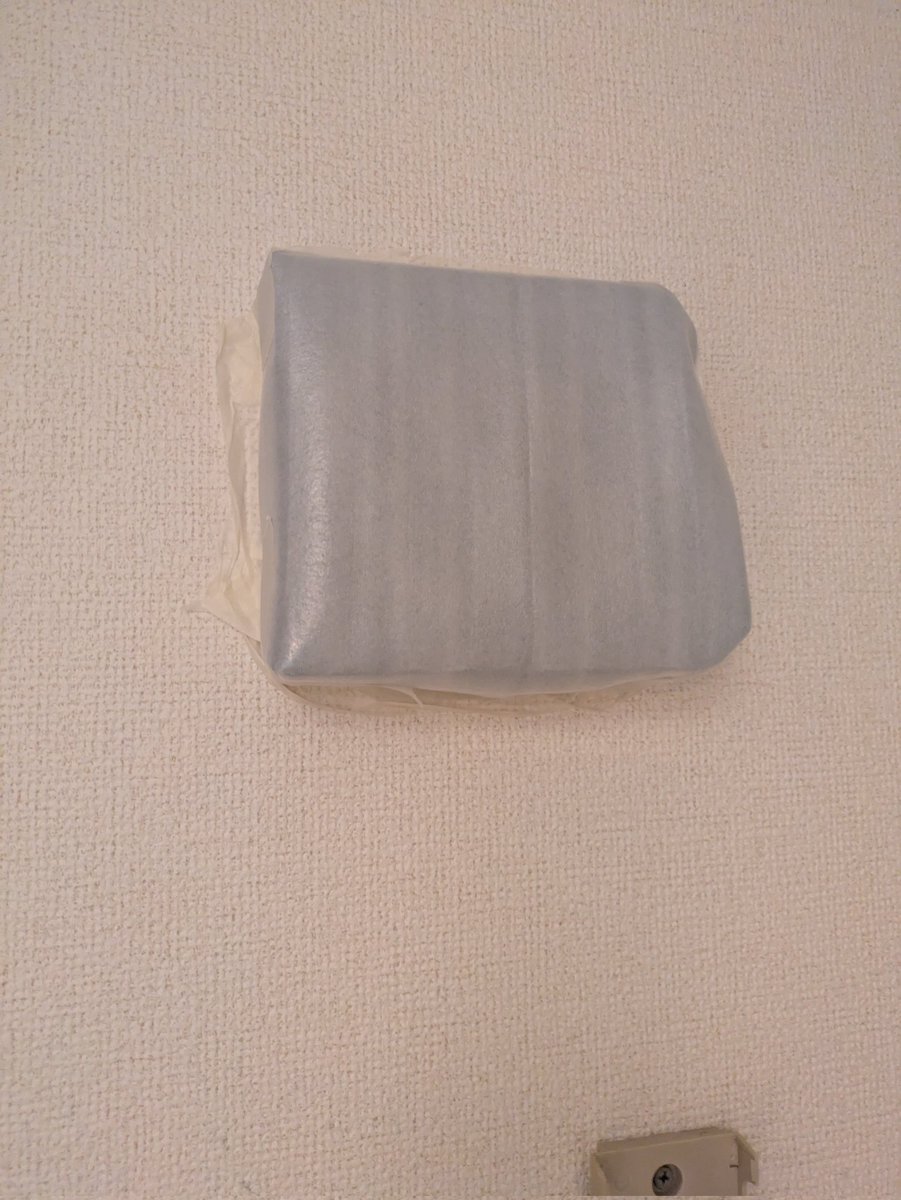 鳥類愛好人 tweet media