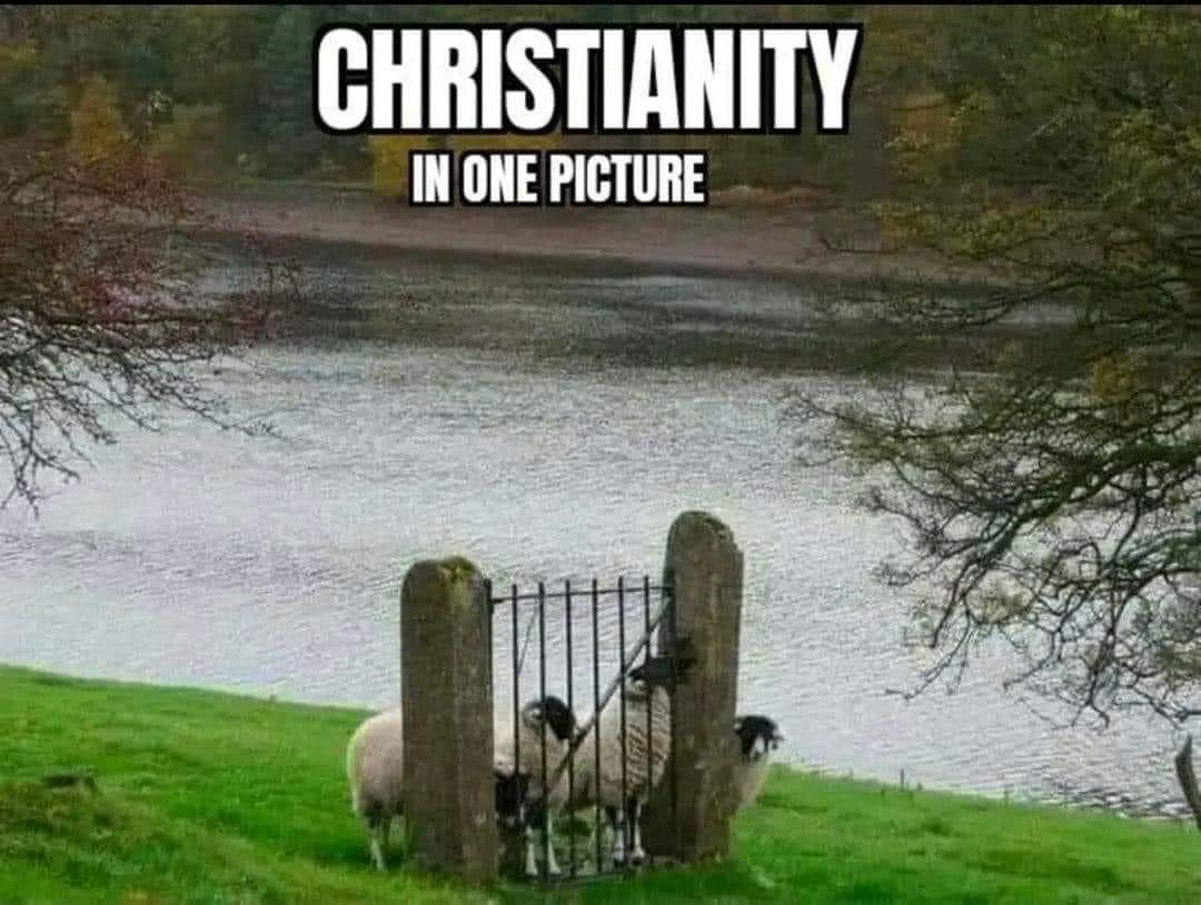 DrNight7's tweet photo. @ByuSome It's so entertaining when christians fight over the best way to worship their imaginary friends. Considering all the unbelievable things that people believe from their bible, the idea that JC made it to the Americas would be as credible as returning from the dead. https://t.co/05V2HlVbfY