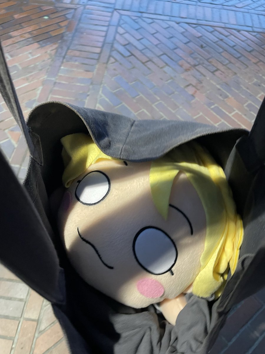 FTYKVIHdqR36779's tweet photo. 三宮でマリーをお迎えしてしまいました。かわいい……🥺 https://t.co/ie6hEAbmVu