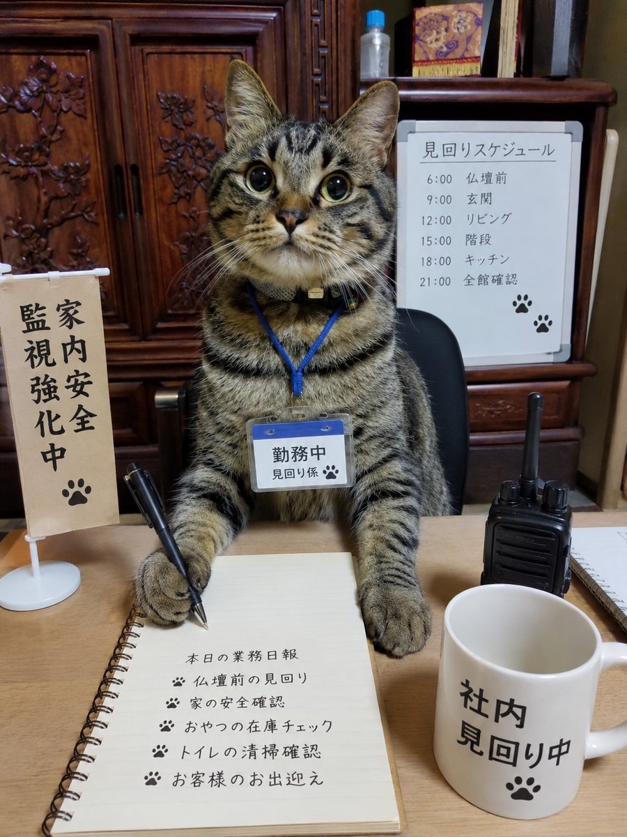 toringopan's tweet photo. 三毛子のヨガパンツに続き こみゃちゃんの職業は？で出てきたのがこれ🐈️おうちの見回りと清掃員🧹仏壇前の見回りはリアルによくしてる😄 https://t.co/oRp8METW03