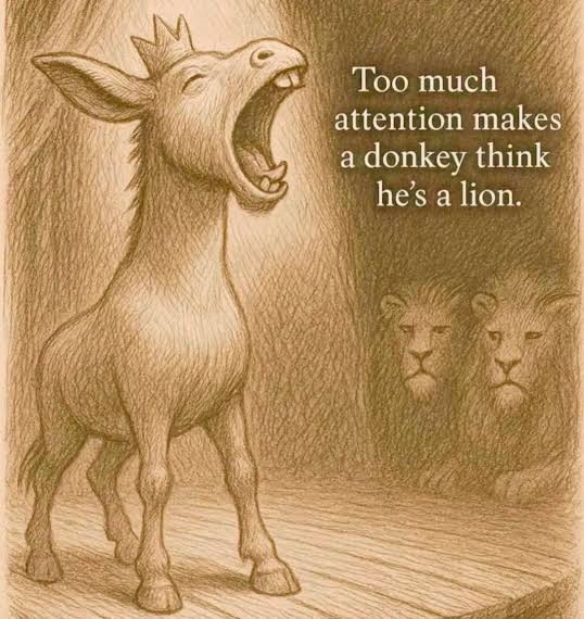 RedNile12's tweet photo. @shouldaboom If delusion can be measured,  you and your fellow Eritrean's wouldn't far  better than a donkey https://t.co/XjojXQVA3e