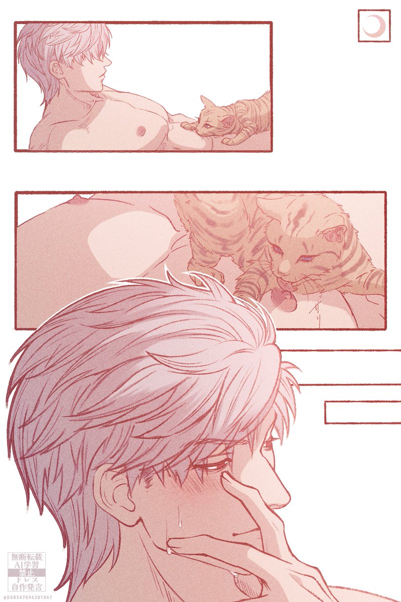 DD8567896281067's tweet photo. シン主
夜と朝🐱

#Sylus #シン https://t.co/KXpFNc2xyM