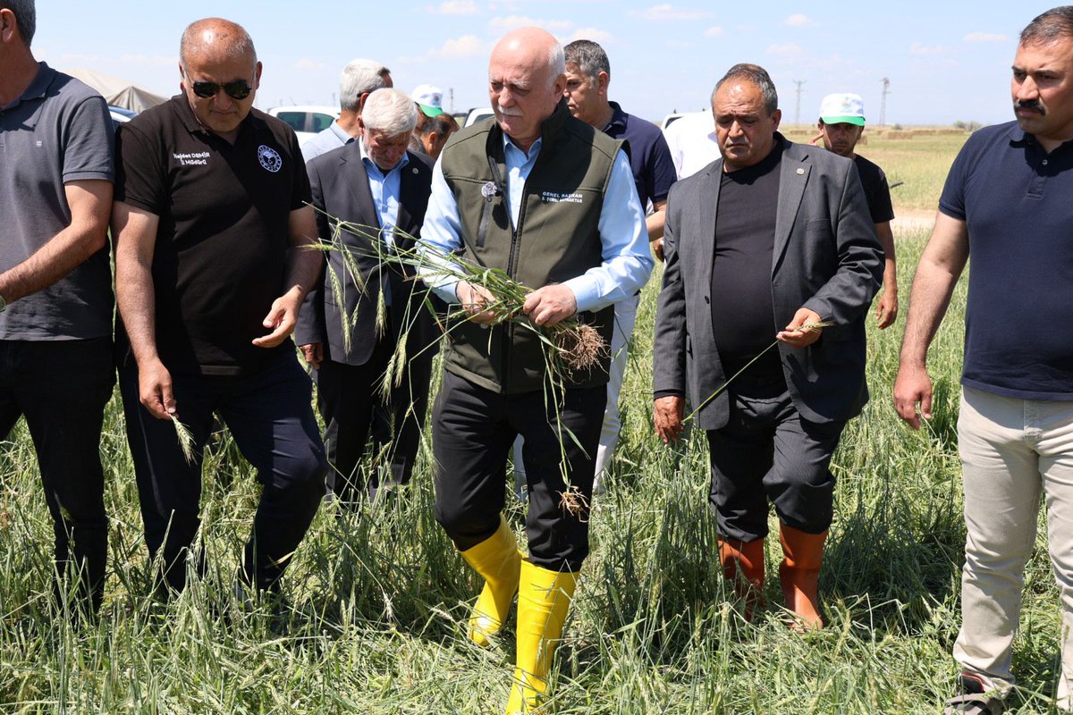 semsibayraktar's tweet photo. Aksaray Sultanhanı’nda geçtiğimiz günlerde meydana gelen dolu afetinden zarar gören tarım alanlarında incelemelerde bulundum. Üreticilerimizle ve Ziraat Odası Başkanlarımızla bir araya gelerek yaşanan mağduriyetleri yerinde değerlendirdik, taleplerini dinledik.
Sultanhanı Kaymakamı Bilal Göksun, Sultanhanı Belediye Başkanı Fahri Solak, Aksaray İl Tarım ve Orman Müdürü Necdet Demir ve Sultanhanı İlçe Tarım ve Orman Müdürü Merve Kutlu’nun da katılımıyla basına yaptığımız açıklamada, zarar tespit çalışmalarının en kısa sürede tamamlanarak gerekli desteklerin sağlanması için sürecin takipçisi olacağımızı vurguladık.
Rabbim tüm üreticilerimizi her türlü afetten korusun.