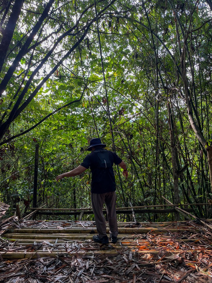 _amiyen's tweet photo. Bukit Madei, Selangor https://t.co/1uove2UDIo