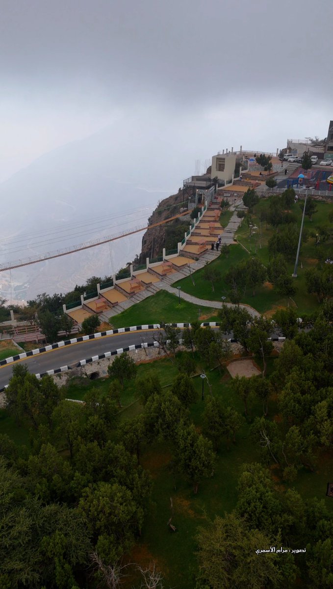 thekingdom_ksa's tweet photo. #غابة_رغدان.. لوحة خضراء تتوشح بالضباب، وتجسد سحر الطبيعة في #الباحة، وتمنح زائريها لحظات من الجمال والسكينة. ☁️🌿 
تصوير : @m__alyaseer https://t.co/DbganYr3P6