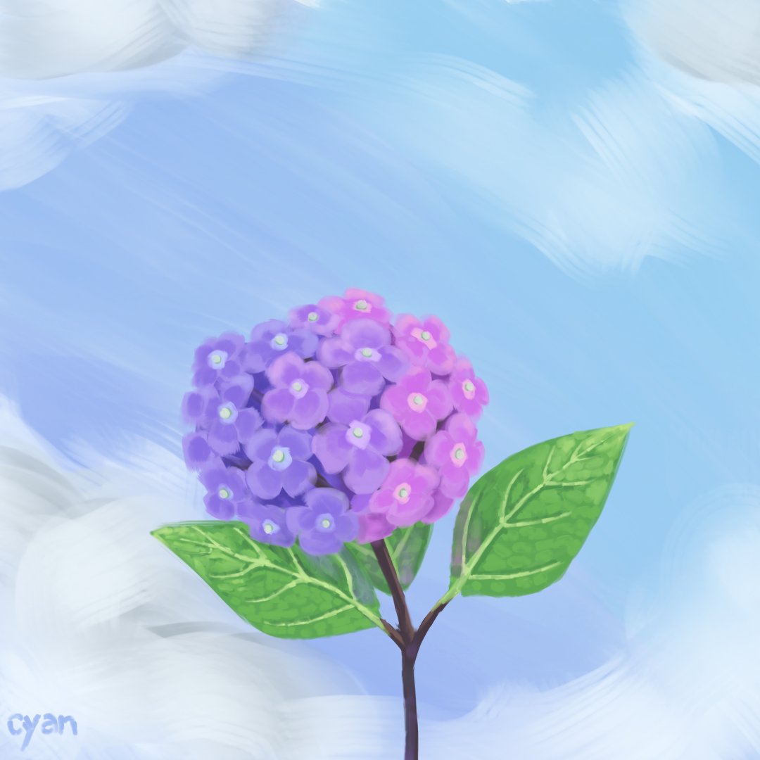 CyanAqua1's tweet photo. flower https://t.co/u9ONE3hTfo