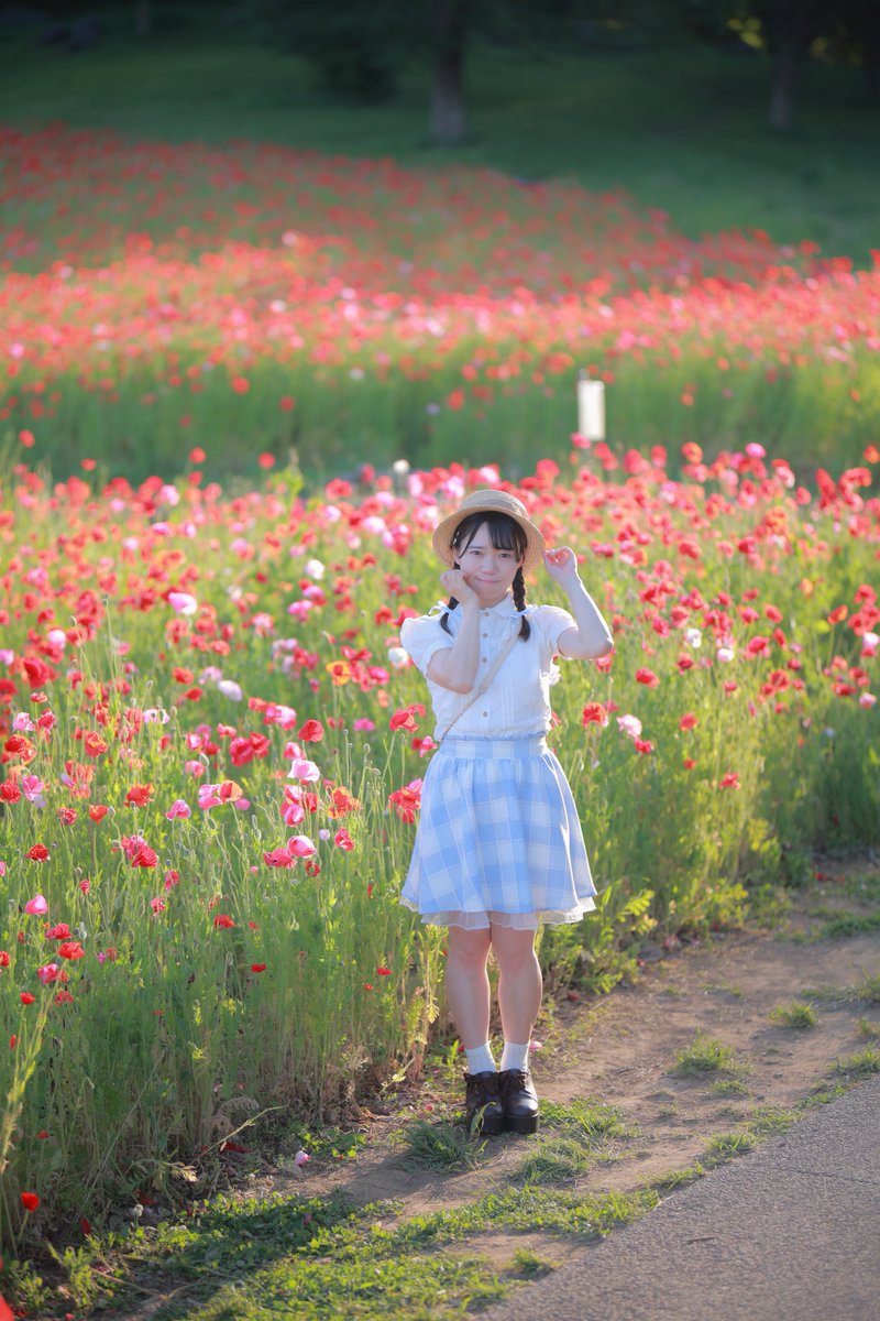 fruits_cherry's tweet photo. 赤い楽園 https://t.co/tbv88kKj9k