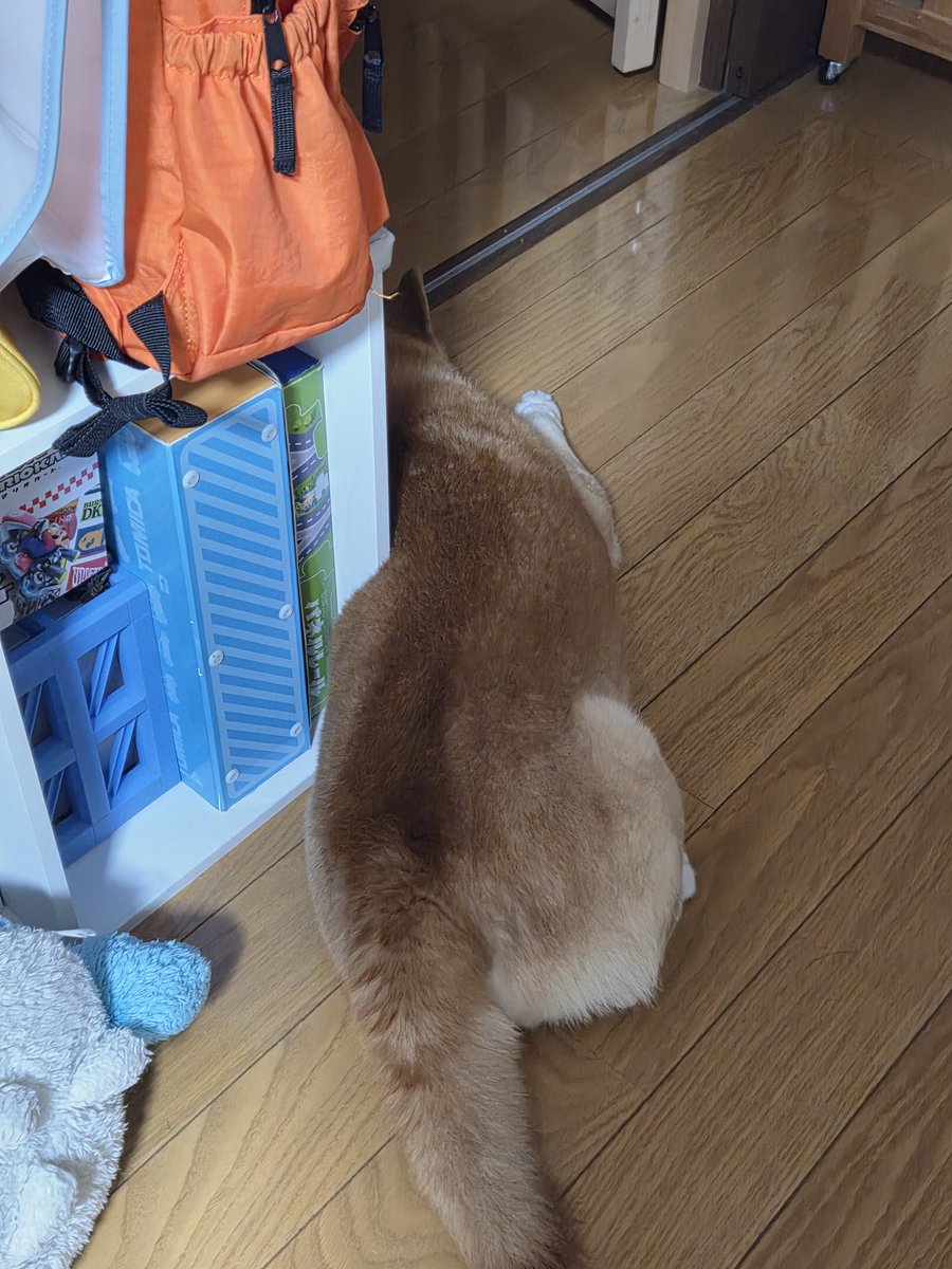 j002948's tweet photo. めり込んでる https://t.co/xaEZ2MzohA